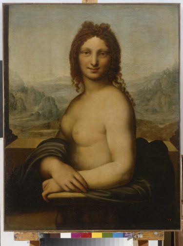 Is Donna Nuda een Da Vinci? Het publiek bepaalt