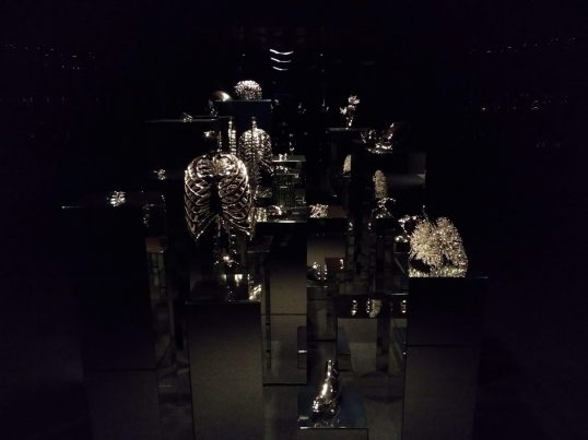 Body of Work: bijzonder zelfportret Itamar Gilboa