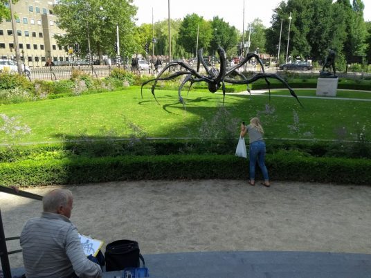 Spinnen in de Rijksmuseumtuinen